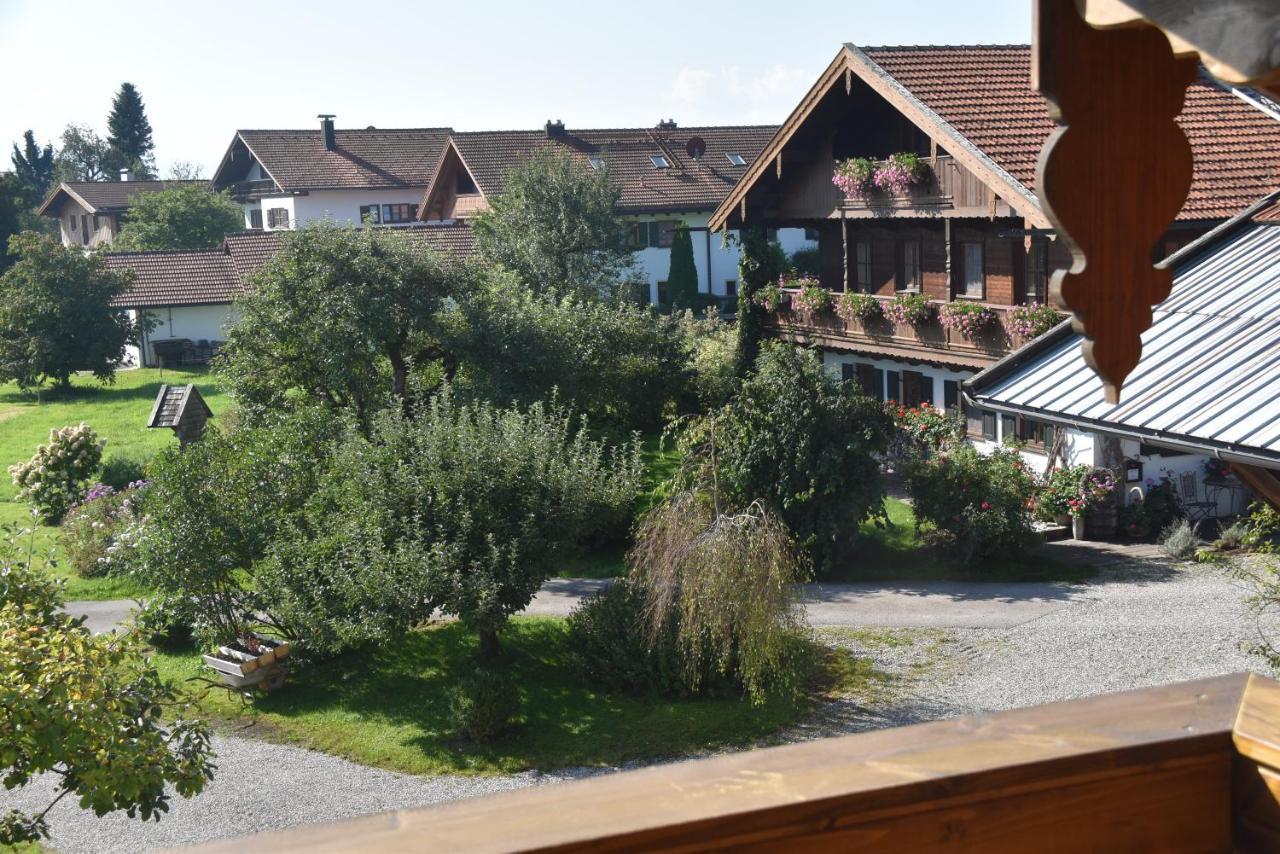 Beim Hainz Apartment