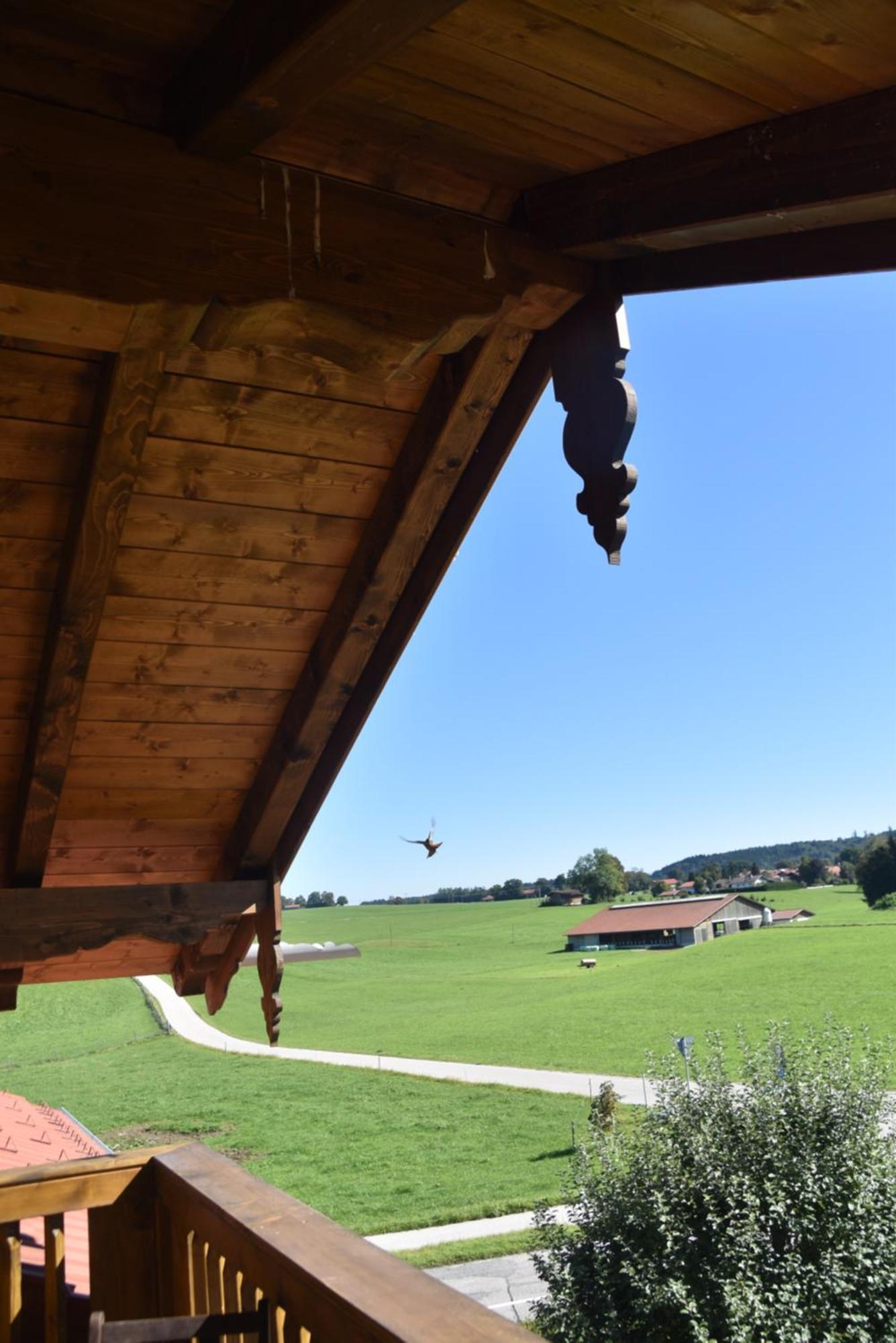 Apartment Beim Hainz
